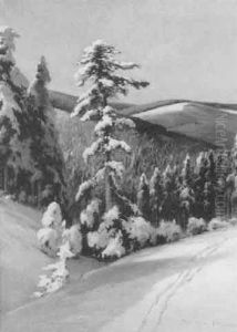 Schneebedeckter Tannenwald An Einem Kalten, Sonnigen Wintermorgen by Franz Schreyer