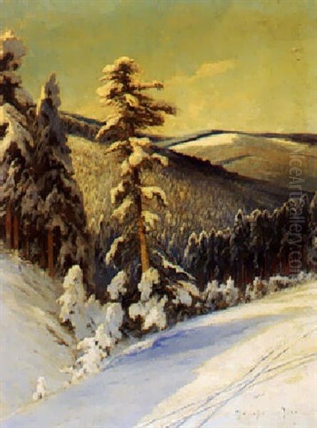 Sneklaedt Bjerglandskab Med Grandskov - view 1
