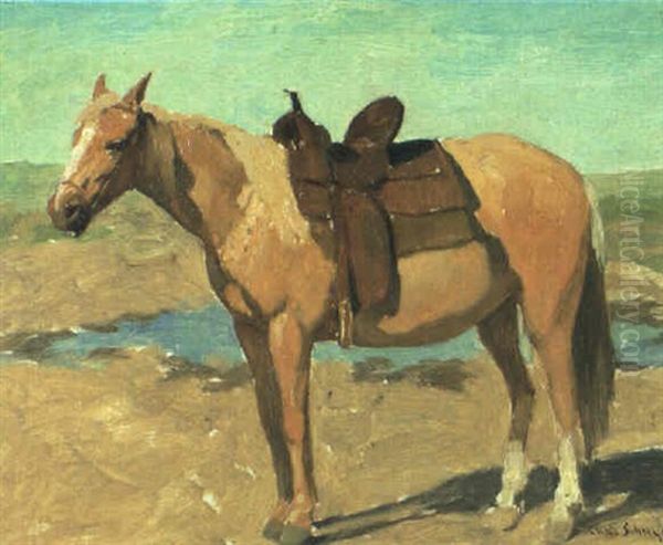 My Horse - view 1