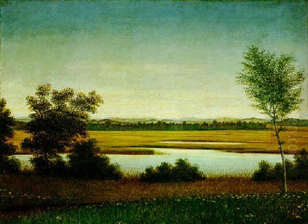 Moorlandschaft - view 1