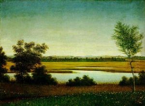 Moorlandschaft
