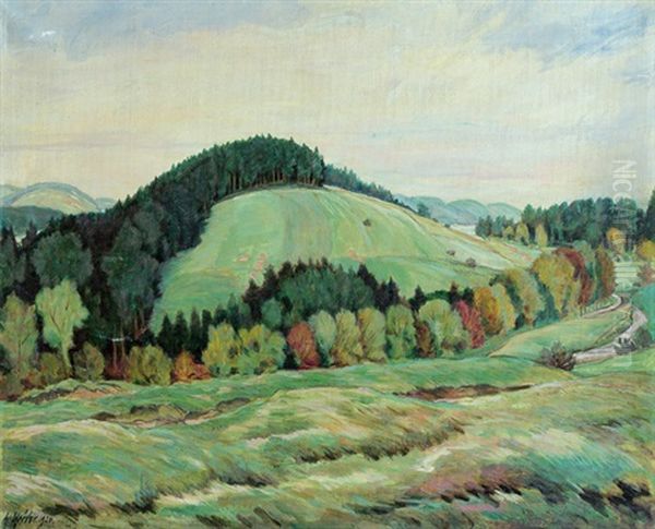 Hugelige Landschaft - view 1