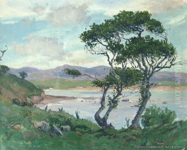 Moeraki - view 1