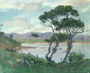 Moeraki by Walter Armiger Bowring