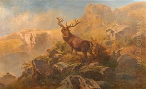 Gebirgslandschaft Mit Hirsch