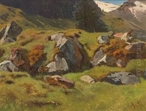 Study Of Rocks At Ferleiten