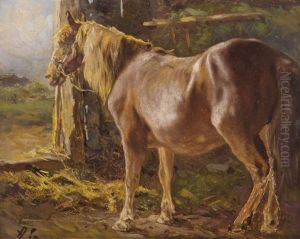 Pferd Im Stall Mit Ausblick by Anton Schroedl