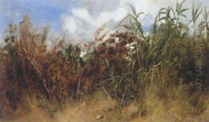 Uferboschung Mit Schilf by Norbert Michael Schroedl