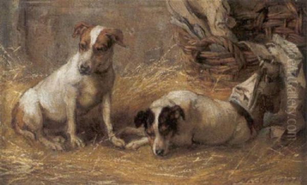 Jack Russels In Einer Scheune - view 1