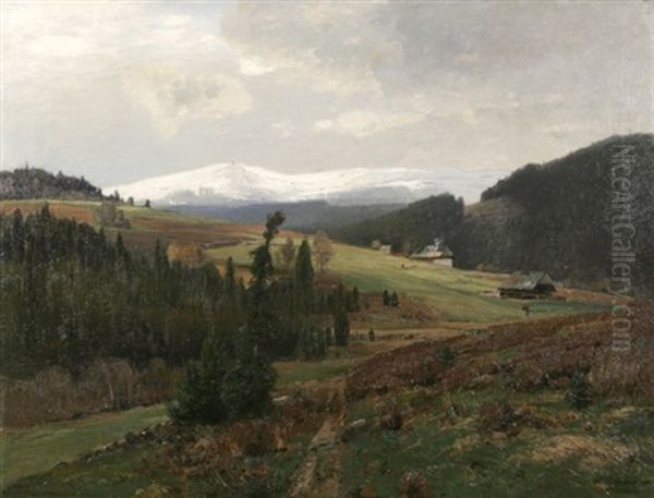 Schwarzwaldlandschaft Mit Hausern, Im Hintergrund Der Verschneite Feldberg - view 1