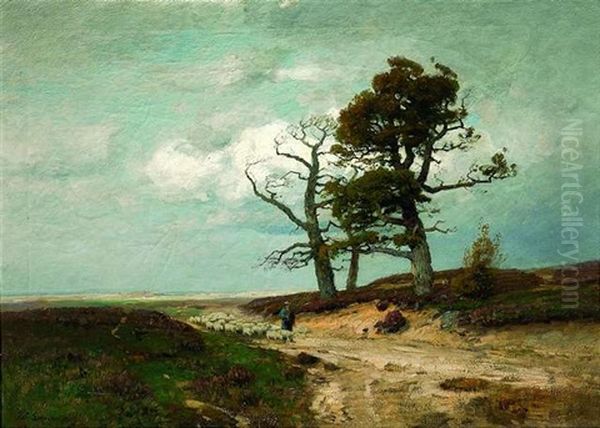 Schafhirte Mit Seiner Herde In Weiter Landschaft - view 1