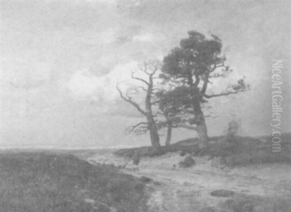 Weite Wiesen- Und Dunenlandschaft Mit Hirten Und Seiner Schafherde Im Vordergrund - view 1