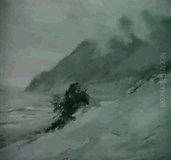 Foggy Morning - view 1