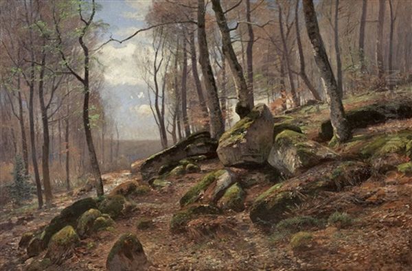 Waldinneres Mit Bemoosten Felsen - view 1