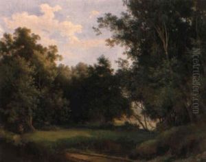 Sommerliche Lichtung Mit Waldteich