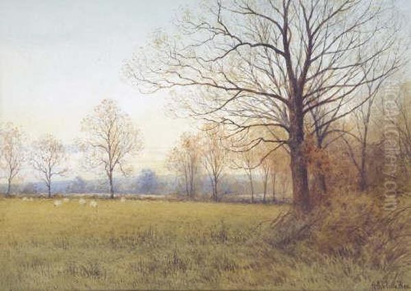 Autumn Landscapes - view 1
