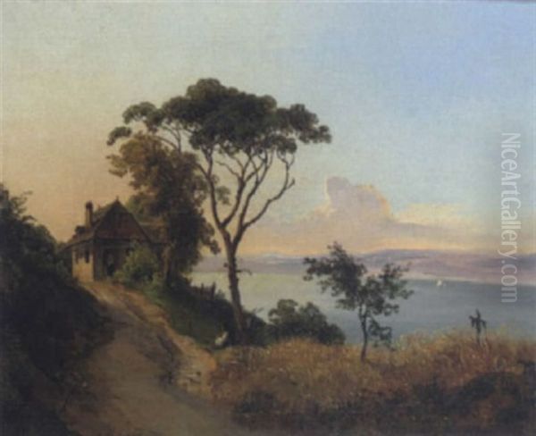 Seelandschaft Mit Getreidefeld Im Vordergrund - view 1