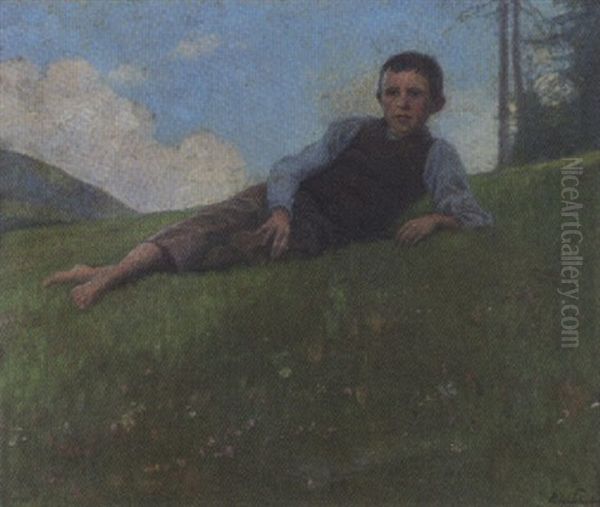Liegender Junge Auf Der Alm - view 1