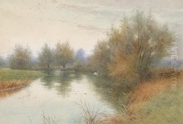 The River - view 1