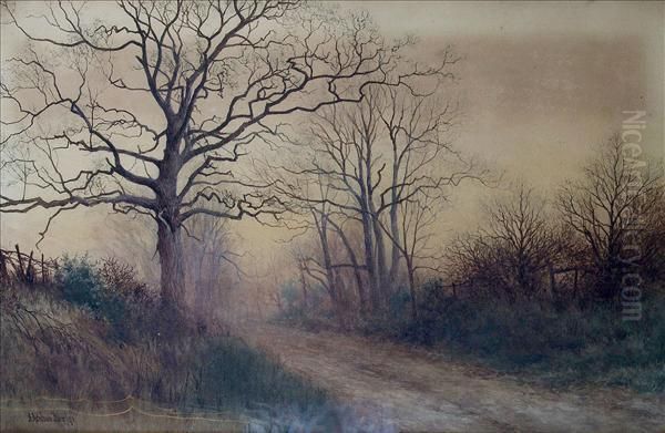 Awooded Lane At Sunset - view 1