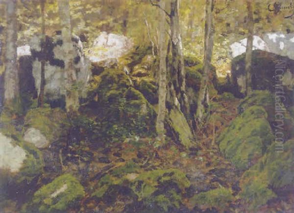 Waldinneres - view 1