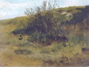 Landschaft Landschaft
