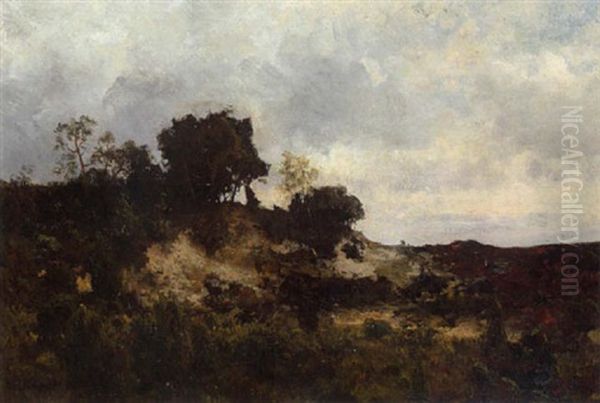 Heidelandschaft - view 1