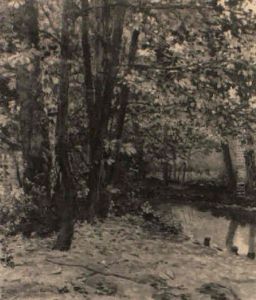 Im Herbstlichen Wald Im Herbstlichen Wald