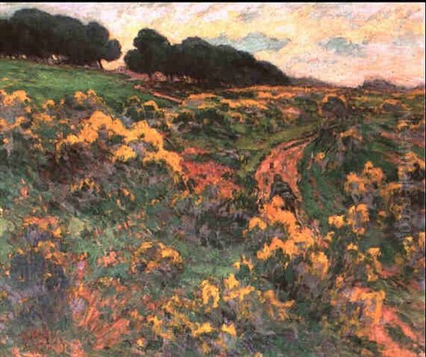 Bretagne: Chemin Dans La Lande - view 1