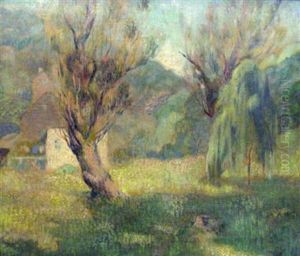 Hazy Morning