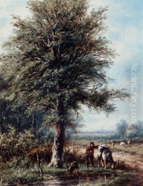 Zomer Landschap In Het Gooi - view 1