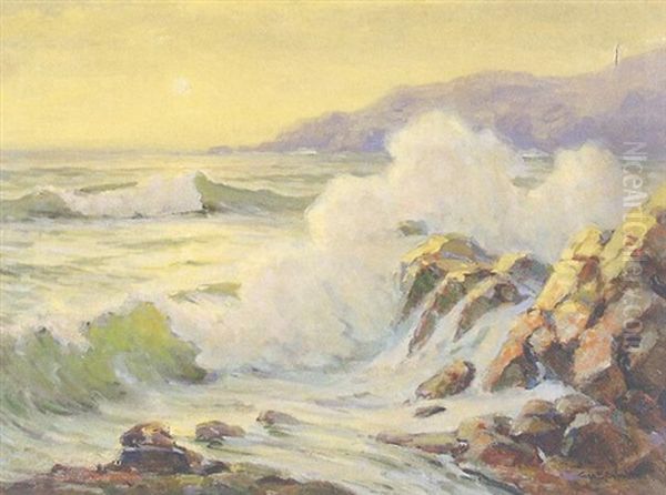 Rocky Cove - Monhegan Island - view 1