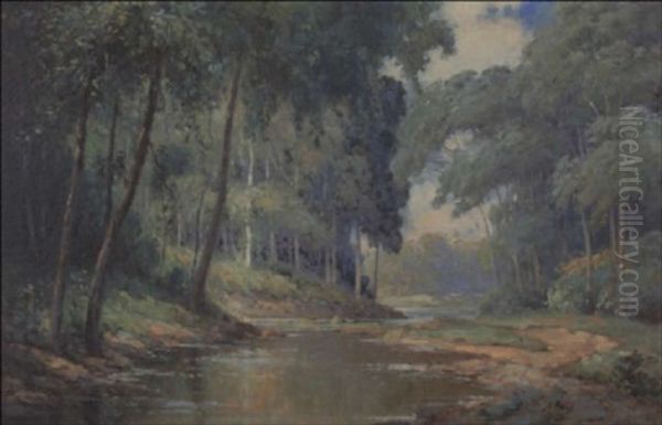Summer Landscape Along Stream - view 1