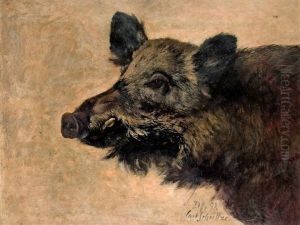 Wild Boar