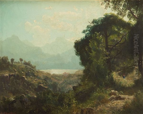 Summer Landscape - view 1