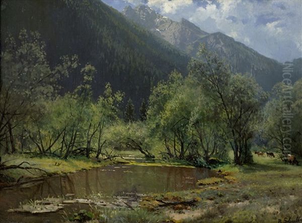 Sommerliche Gebirgslandschaft Mit Waldweiher - view 1