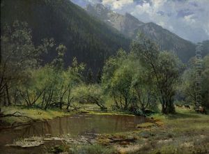 Sommerliche Gebirgslandschaft Mit Waldweiher