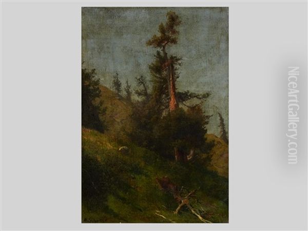 Swiss Mountains - view 1