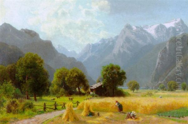 Heuernte - view 1