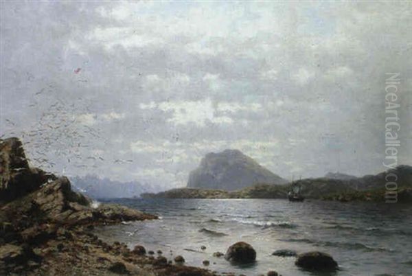 Storefjord Bei Aalesung (norwegen) - view 1