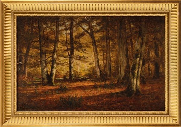 Clairiere En Foret De Fontainebleau by Adrien Schulz