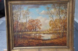 Paysage De La Mare Aux Fees Fin Octobre