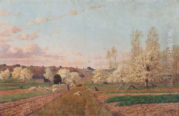 Verger Au Printemps, Montigny Sur Loing - view 1