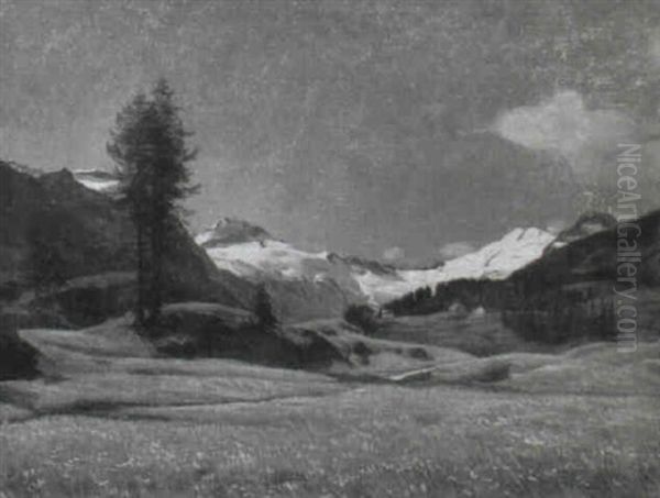Bergsommer Bei Sils-maria - view 1