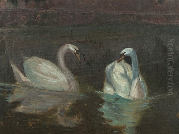 Two Swans In Front Of A Villa - view 1
