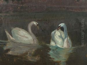 Two Swans In Front Of A Villa Two Swans In Front Of A Villa