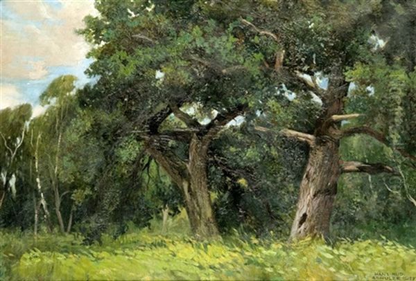 Old Trees - view 1