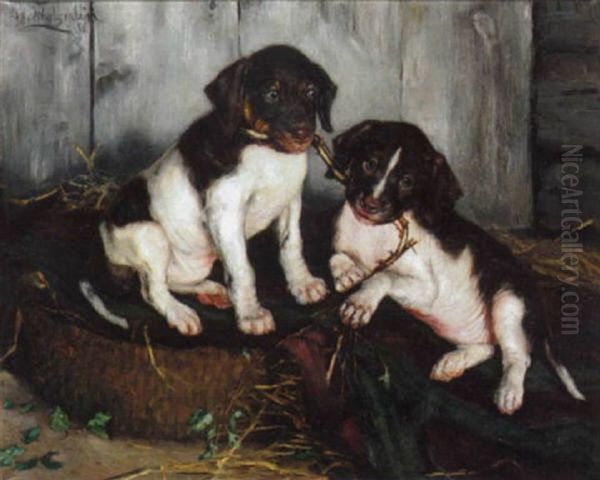 Puppies At Play - view 1