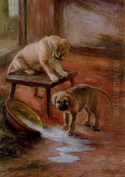 Lekande Hundvalpar - view 1