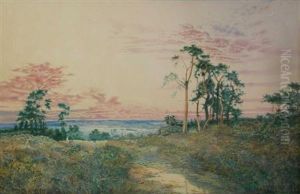Sunset Over Heathland by George Price Boyce